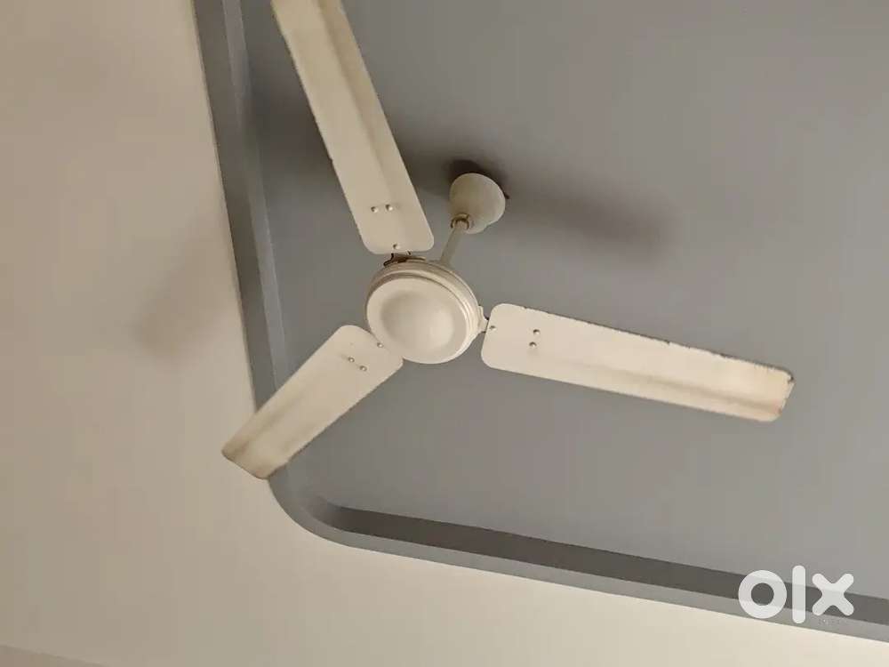 Ceiling fan