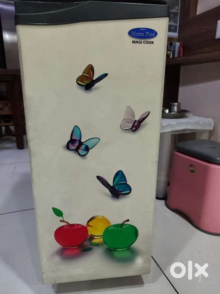 Domestic Flour Mill (Gharghanti)