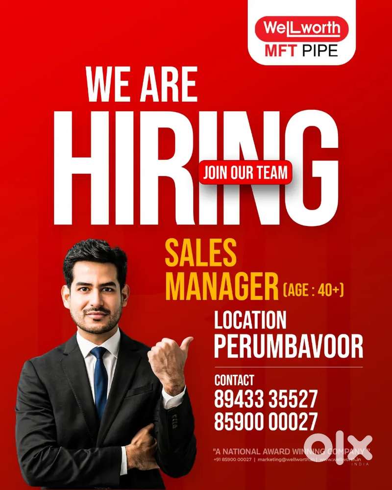 Sales manager - age 40+