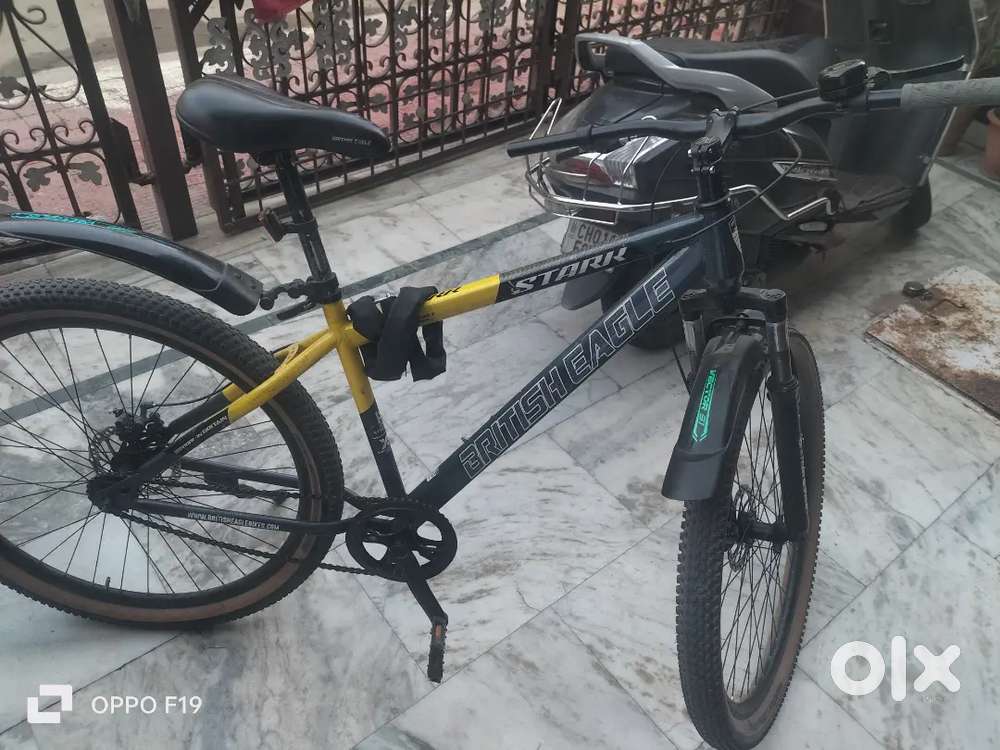 British eagle cycle with bill