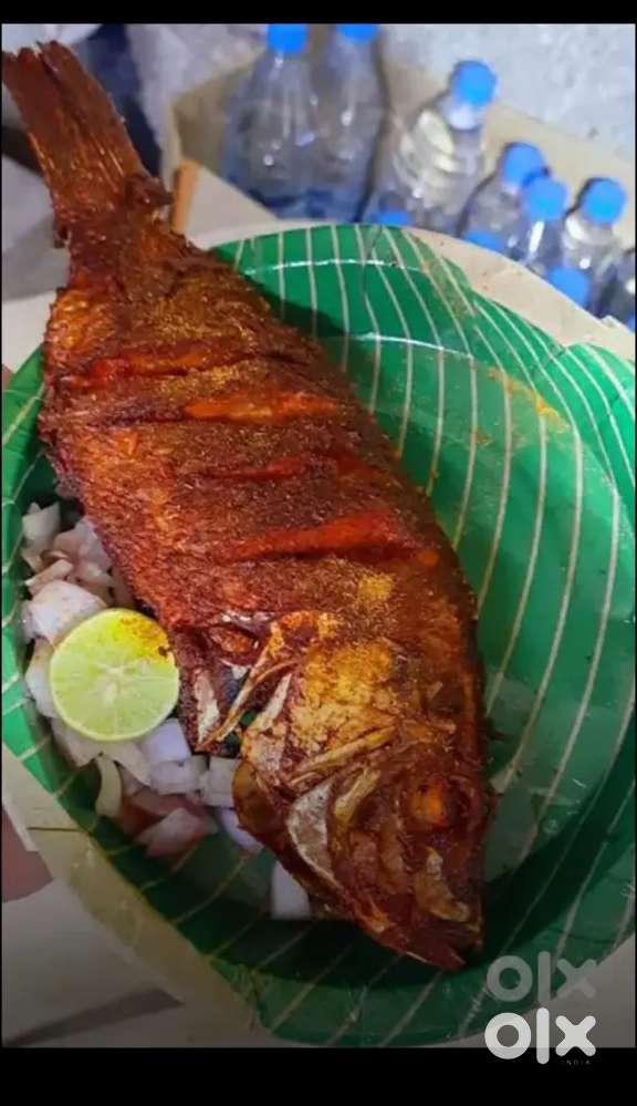 Experience Fish Fry & Chicken Pakodi cheyagala Cook Kavali.