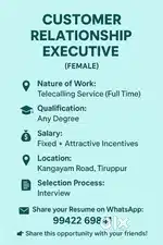 Customer Relationship Excutive