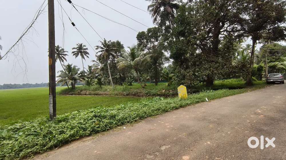 Prime land for Sale in Edathua