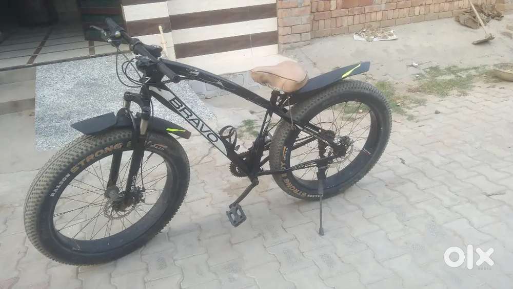 Fat bike with gear