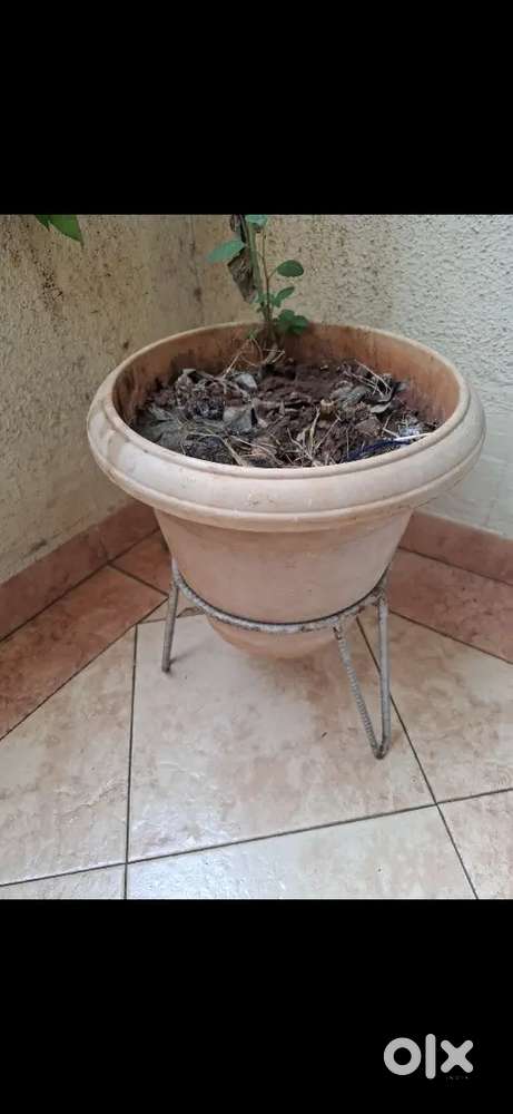 Plant stand