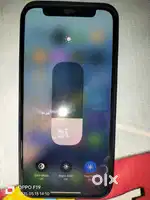 iPhone 12 mini
