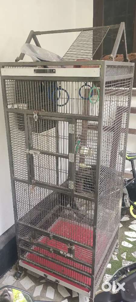 Bird cage big type for sale