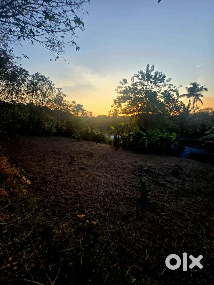 11 cent housing plot for sale