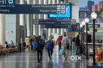 APPLY URGENT AIRPORT JOBS INDIGO AIRLINES GROUND STAFF & CABIN CREW