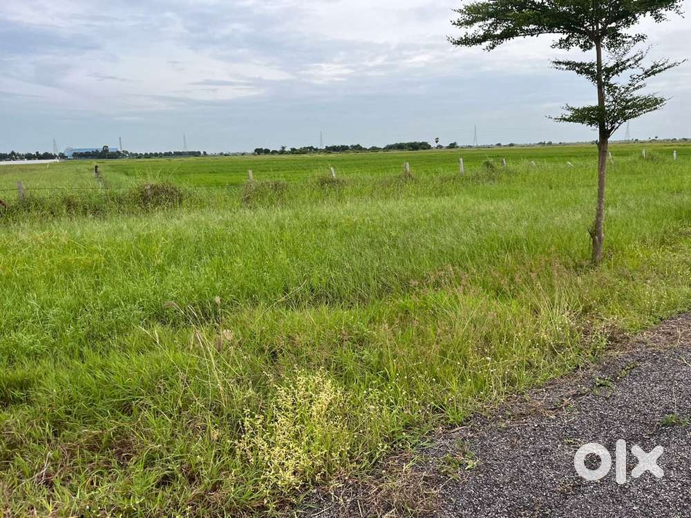 Budampadu Narakodurnplots