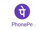 Phonepe Business Marketing