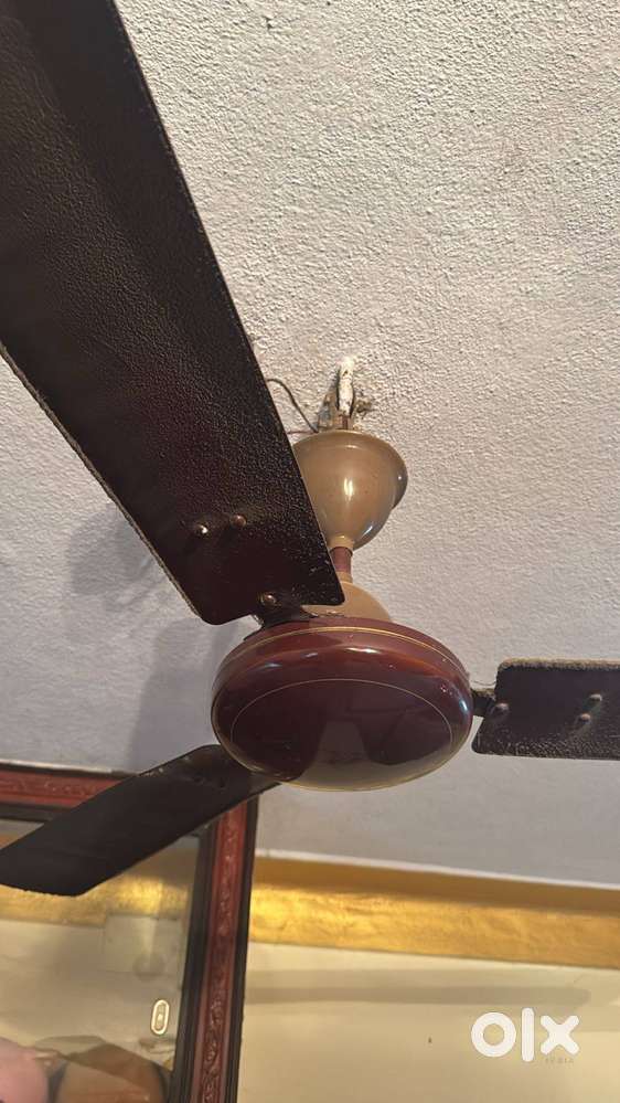 Ceiling Fan-Smooth Working-Low Price