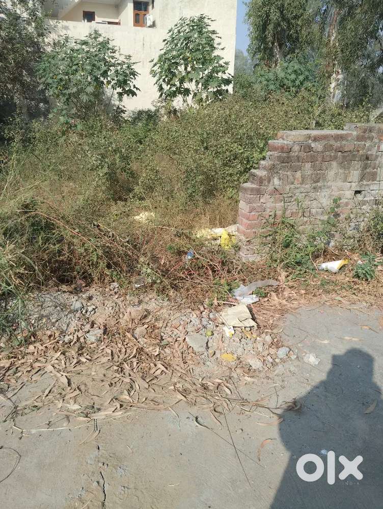 Plot near jaggu shah dera
