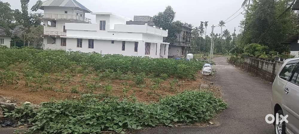 ANGAMALY THURAVOOR JUNCTION 5,6,8, 10 CENT PLOTS AVAILABLE