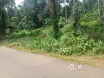 10 Cents, 15 Cents house plots for sale near Anakkal, Kanjirappally