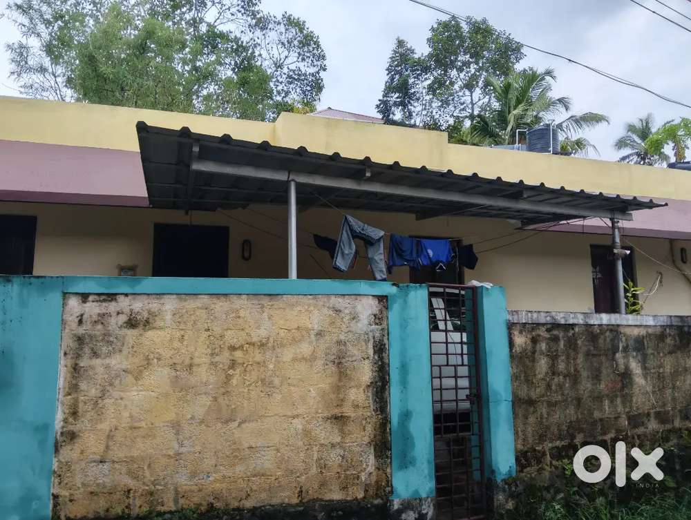 THIRUMALA MANGATTU KADAVE PLOT FOR SALE 12.50.CENT.OLD HOUSE.93.LAKH