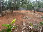 20 CENT COMMERCIAL PLOT FOR SALE AYATHIL BYPASS