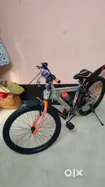 new cycle hai 24 inch