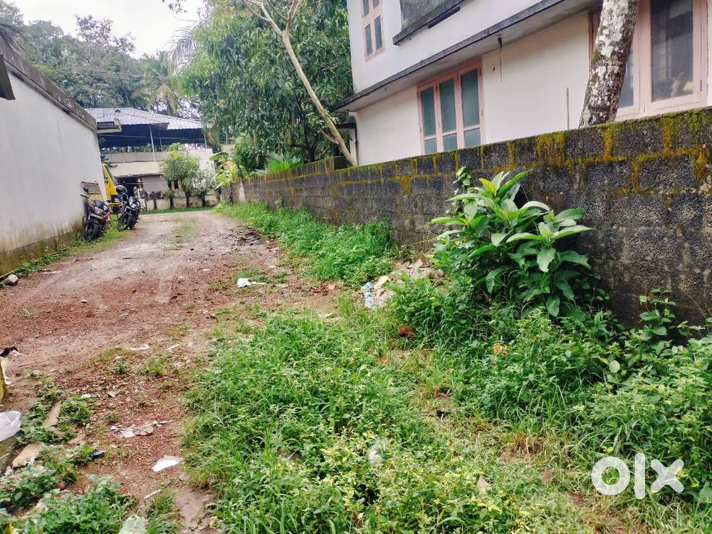 ഹോബ്സ്പ്ലോട്ട് വിത്ത്‌ 7.5 സെന്റ്  ഫോർ sale near achu ഏജൻസി. Punnavila