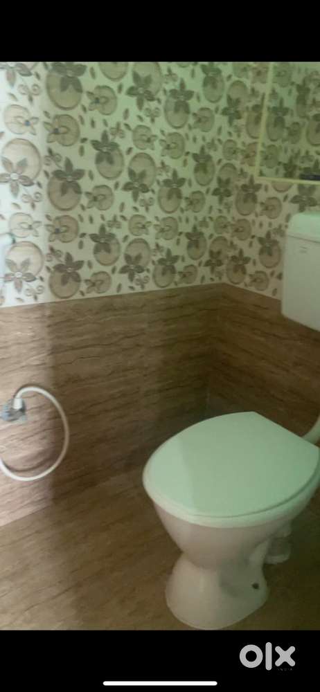 Looking for female flatmate - Kodambakkam 2bhk unfurnished house