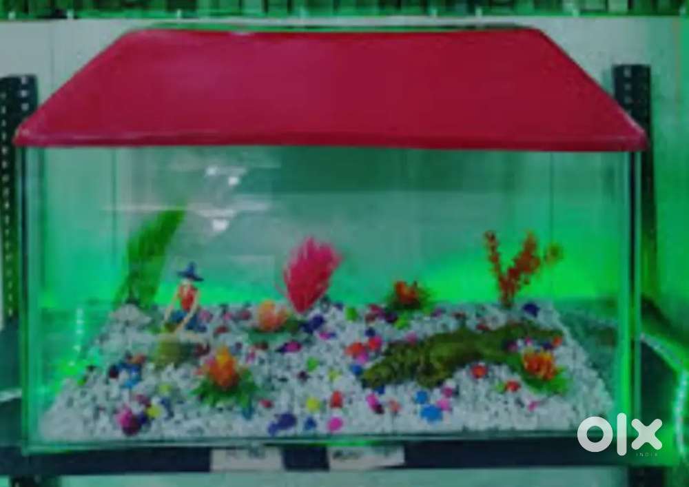 FISH AQUARIUM IN EXCELLENT CONDITION