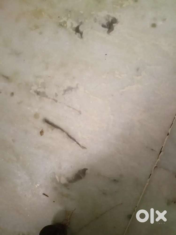 प्लाट बिकाऊ जस्टिस लॉ कॉलेज के पास बाराबंकी