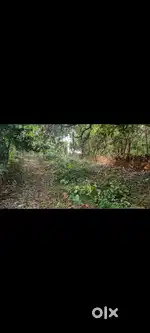 Plot available for sale