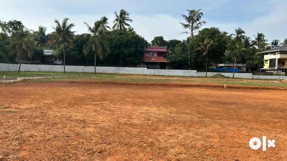 തിരുവുള്ളക്കാവ് Thiruvullakkavu house plot for sale