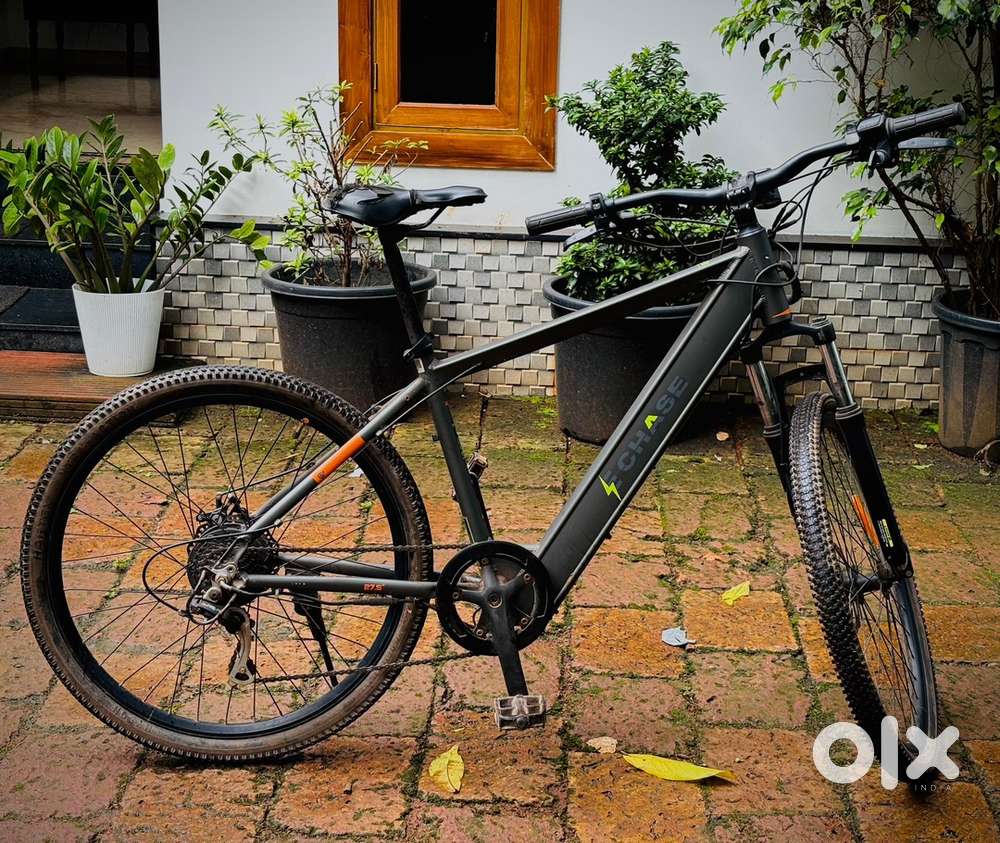 Electric cycle