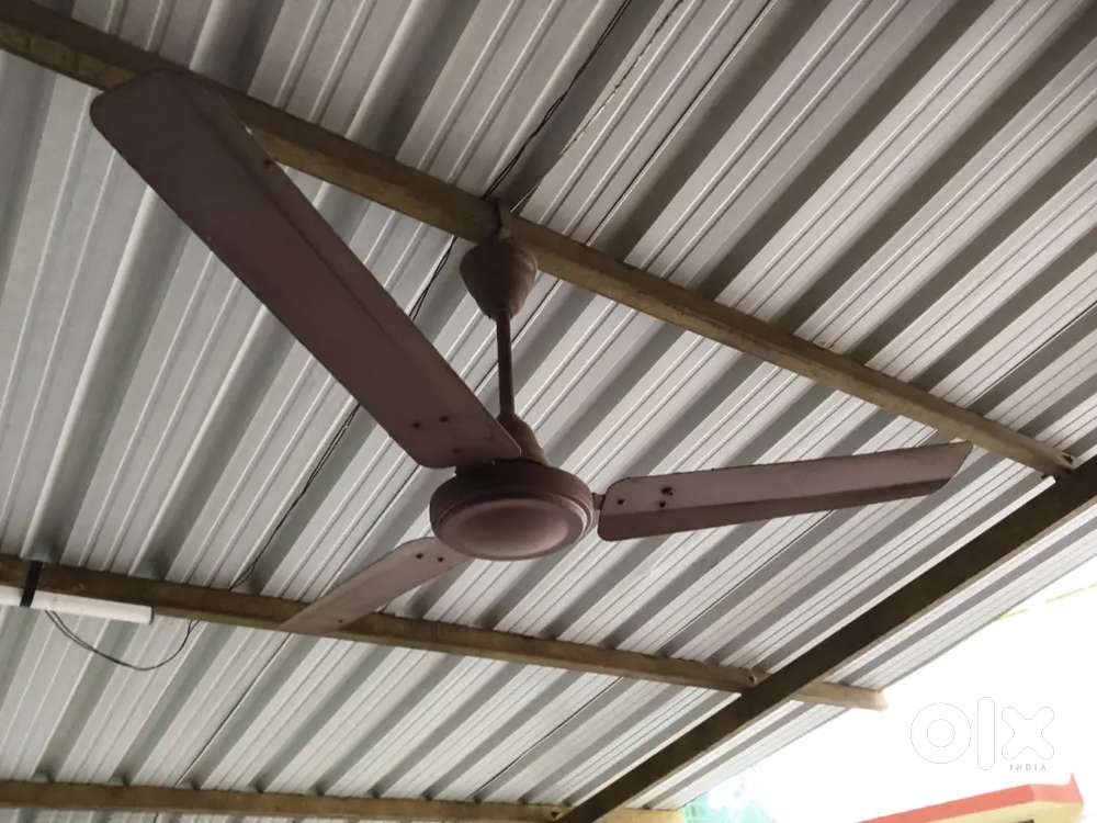 Ceiling fan