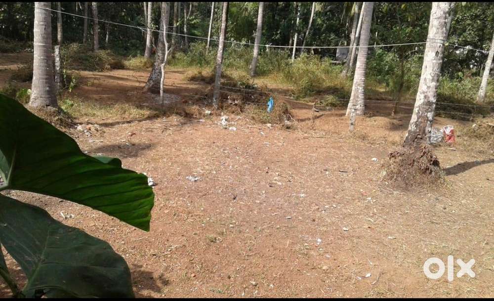 Property for sale at Aryanad Kulappada