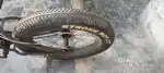 SCHOLL FAT BIKE