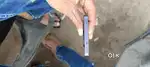 Oppo f29 8.128