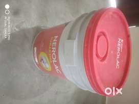 Nerolac Paint