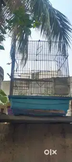 Imported cage
