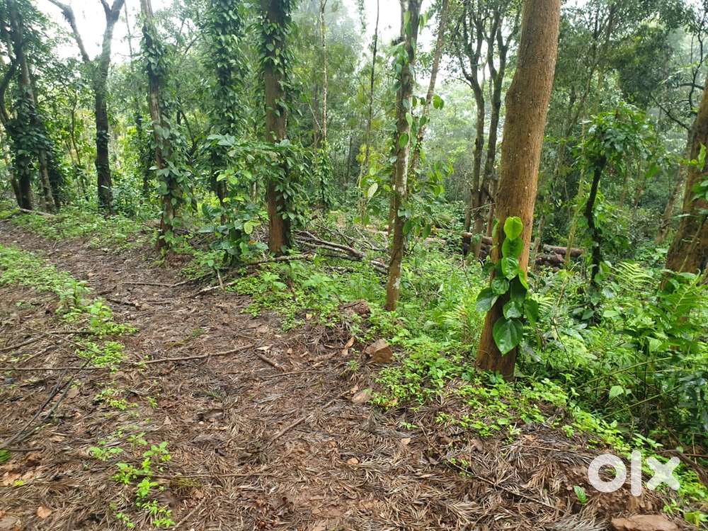 9 ACER LAND WITH SUPER VIEW PERFRCT FOR TOURISM @WAYANAD -MYSORE RD