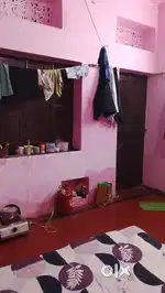 Roommate required