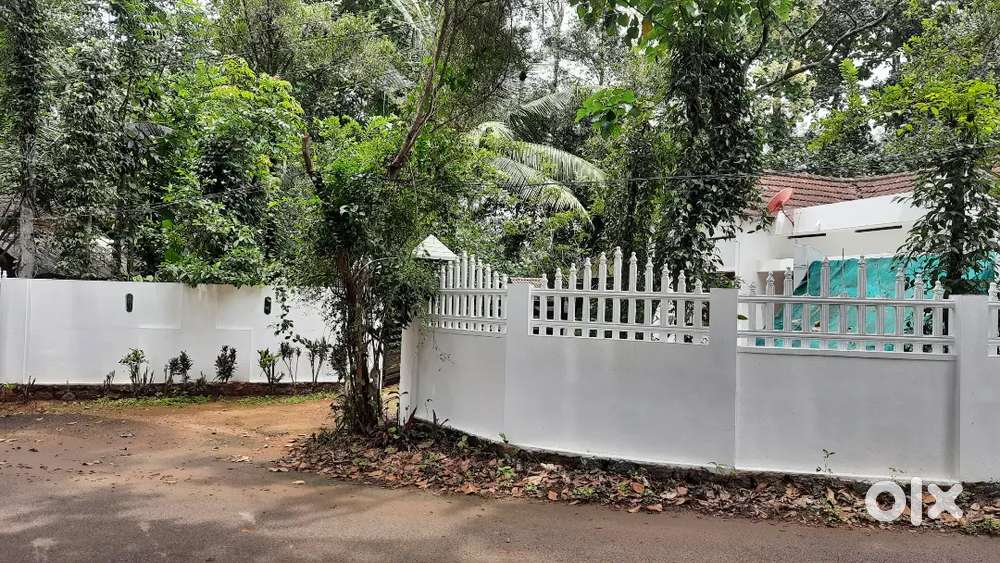 15 cents of square plot for sale on the side of PWD road near Pala