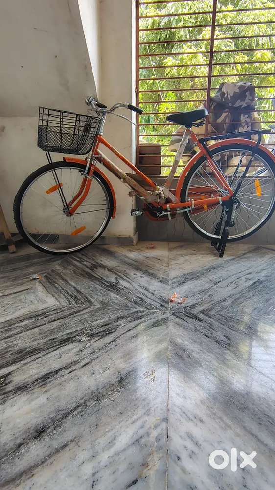 New Cycle fresh no use