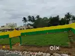 Avadi plot