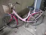 Lady Bird cycle