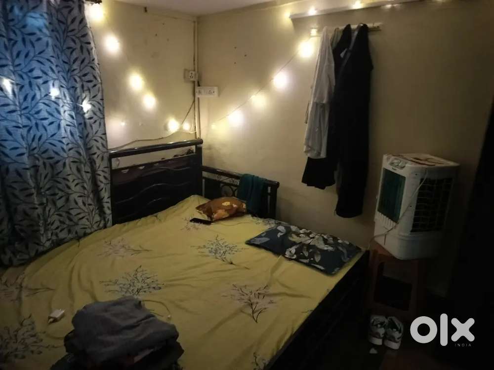 Roommate in Four bungalow