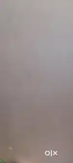 Single room available for rent