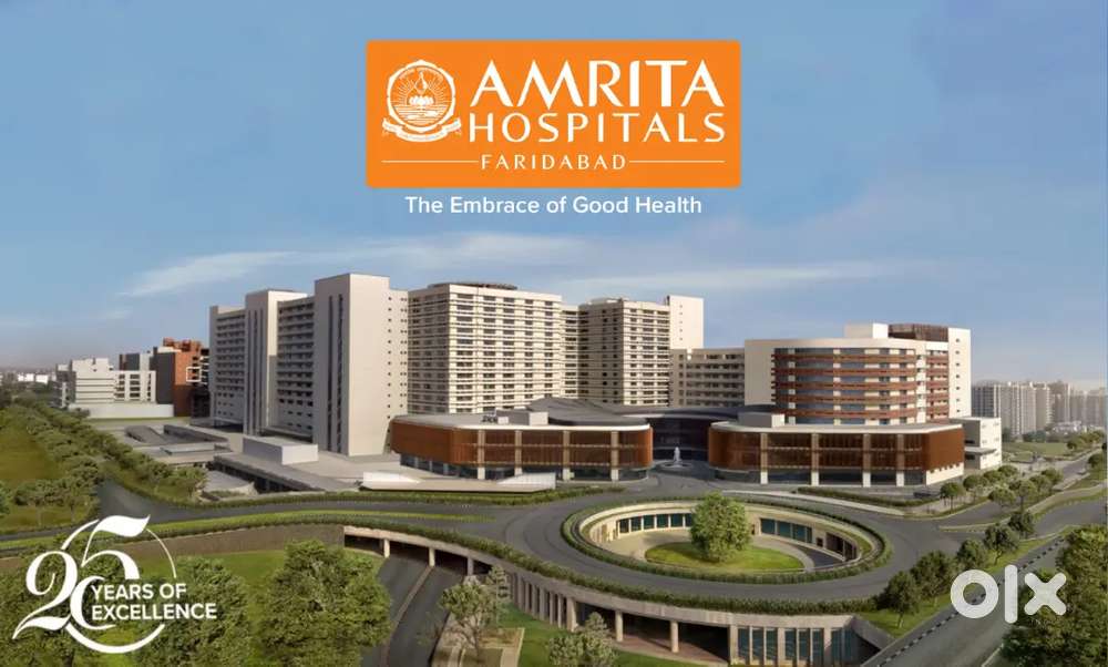 Hospital Canteen Work Steward In Hospital Canteen