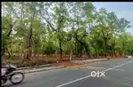 1.15 acres land. 40+ mtrs main road frontage.THALAKOTTUKARA MAIN ROAD