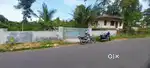 15 സെന്റ് സ്ഥലം വിൽപ്പനയ്ക്ക് പുളിയനം