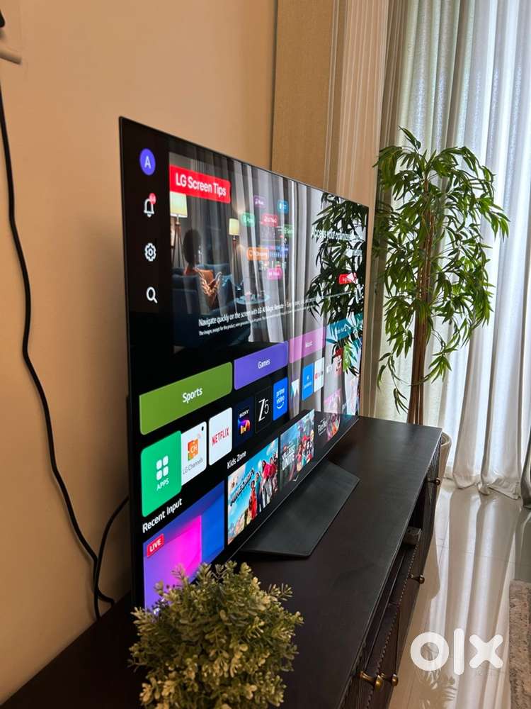 LG OLED 55-inch 4K Smart TV (Model 55B2PSA)