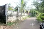House plot 10 cent near Chemmanampady 4 lakh/cent