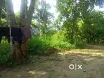 Orginal land 4 cent