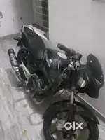 Black pulsar